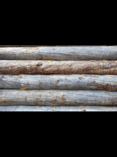 Бревно Кело диаметр 44 см, длина 6 м