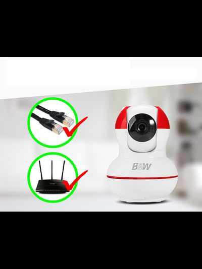 BW. Видеоняня /WiFi-LAN видеокамера моторизированная с DVR , HD (163Eye/Yoosee)