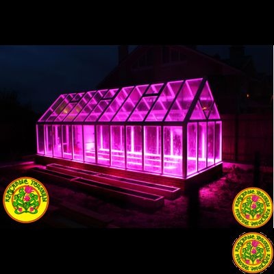 Базовая комплектация теплицы из стекла и алюминия ЧЕСТЕРФИЛД размером 8000 х 3000 мм