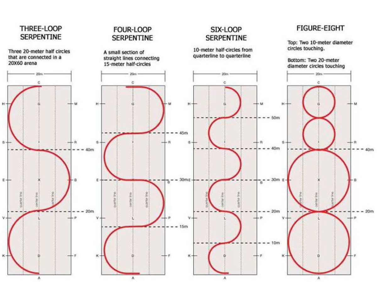 серпантин расписание. название отчетного концерта танцевального коллектива. серпантин расписание. манежные фигуры в конном спорте схема. расписание 41 школы.