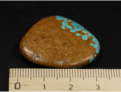 Бирюза, полировка плоская, США, Невада (29*29*5 мм, 8,2 г) №37839