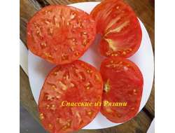 Томат Спасские из Рязани