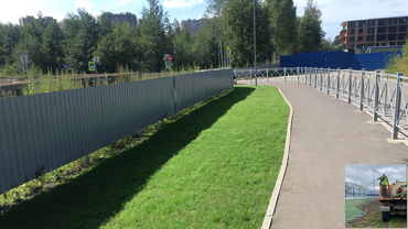 Городское озеленение