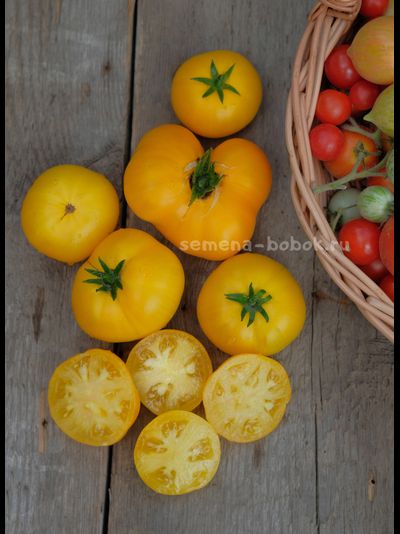 Томат Dwarf Jasmine Yellow (Гном Желтый Жасмин), 10 шт