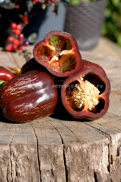 Перец сладкий Ингрид, 10 шт