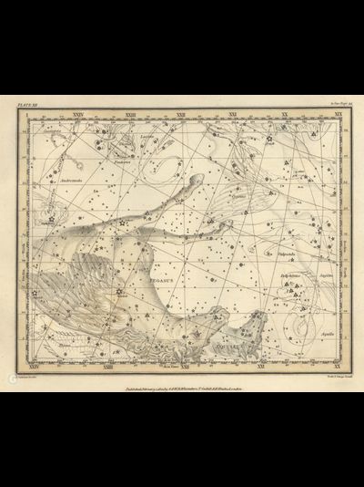 Картина обогреватель, фото старинной Карты созвездий Пегас, Малый конь