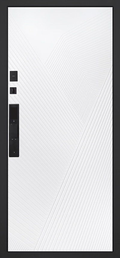 Стальная дверь   Ferrum (биометрический замок)