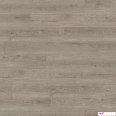 Декор ламината Haro Tritty 200 Aqua Дуб Флавия Серый 544760 фронт