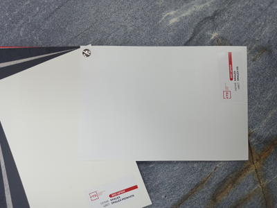 ВФД (VFD) ВЛАДИМИРСКАЯ ФАБРИКА ДВЕРЕЙ/ BALANCE Twin. GLANTA/ ЭКОШПОН Sharkskin - Emalex Ice/ ТОЛЩИНА 112 мм/ ТРИ КОНТУРА/ МИНЕРАЛЬНАЯ ПЛИТА