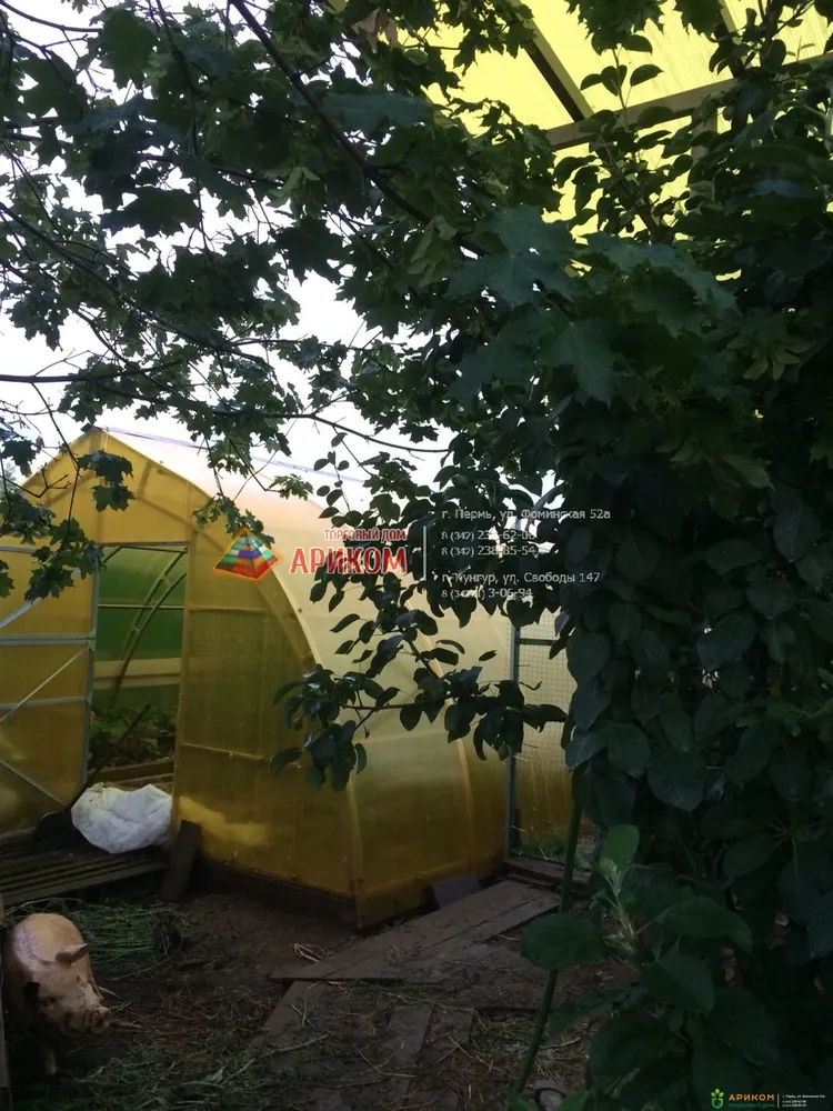 Готика цинк с желтым поликарбонатом