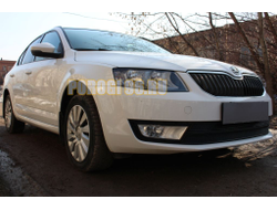 Защита радиатора Skoda Octavia А7 2013-2017 (Ambition,Elegance,Style) (2 части) black PREMIUM