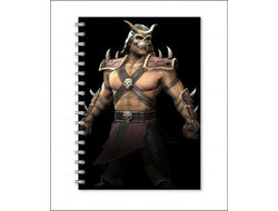 Тетрадь Мортал Комбат, Mortal Kombat №5