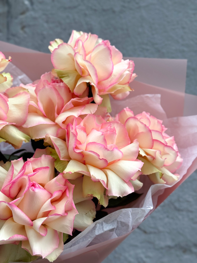 Лучшая на свете