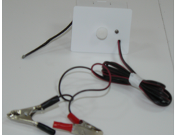 Купить аналоговый терморегулятор 12 В мощностью 100 Вт  для инкубатора и подогрева оборудования