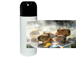 Термос Капибара, Kapibara-san №5