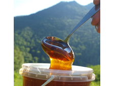 Мёд с подсолнечн​ика Краснодарс​кий