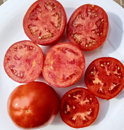 Томат Штамбовый крупноплодный