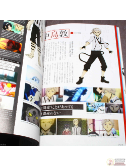 Оригинальный Арт Бук Bungo Stray Dogs Official Guide Book Shinkaroku (Великий из бродячих псов)