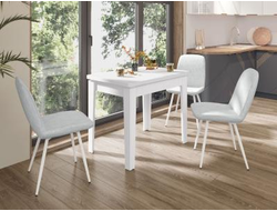 Обеденный стол Орфей 24.4 (01) Белый шпон