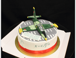 Торт с военным самолётом (3,5 кг.)