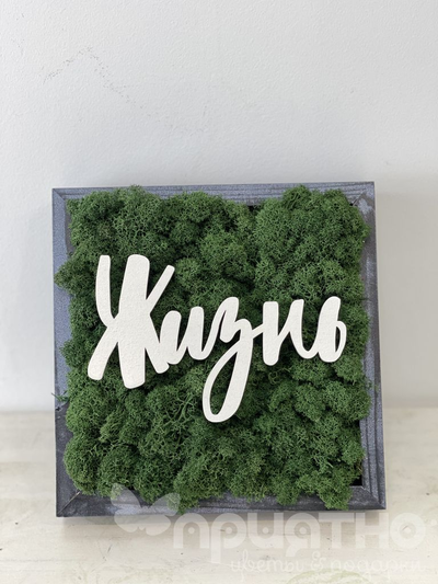 ЖИВАЯ ЭКО-КАРТИНА 1058