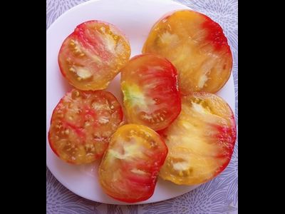 Томат Медовое авеню (Honey avenue)