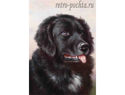 КАРЛ РАЙХЕРТ 4422