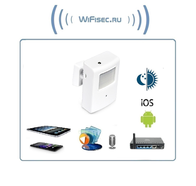 Охранная IP WiFi-LAN видеокамера с ночным видением и аудиоканалом (корпус ИК датчика), встроенный DVR. HD (Pro Ezcam)