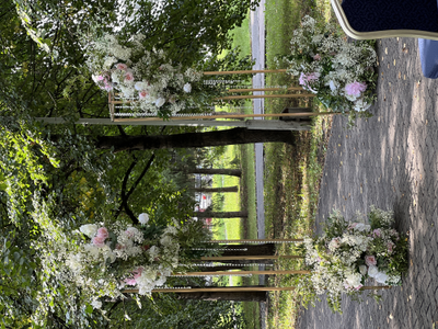 Арка для выездной церемонии "Столбики 1"