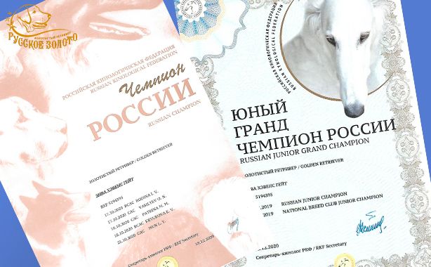 Лора - дипломы Ю Гр Ч России и ЧР