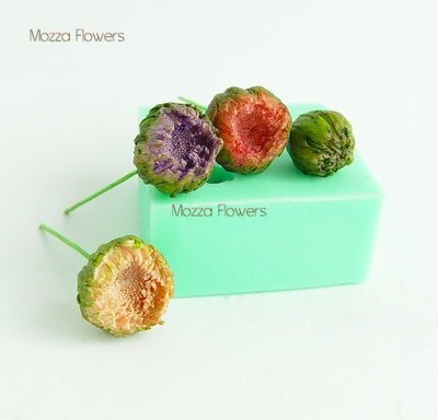 "Бутоны астр и хризантем" силиконовый молд