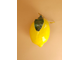 Лимон Мейер