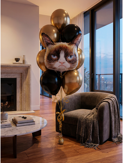 Фонтан из шаров с сердитым котом