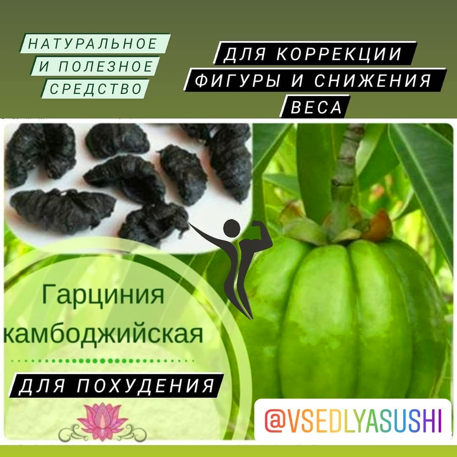 Камбоджийская ГАРЦИНИЯ (сушеные плоды)