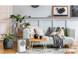 Осушитель воздуха серии CARISMA Studio RD-CR10-E