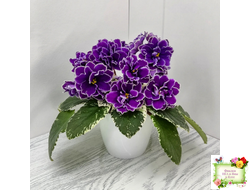 ВаТ-Крайслер (Т. Валькова) трейлер