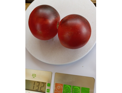 Томат Гондвана роза (Dwarf Gondwana Rose)