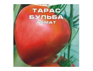 Томат Тарас Бульба Отзывы Фото Урожайность