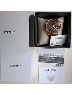 Наручные часы Citizen AP1059-19E