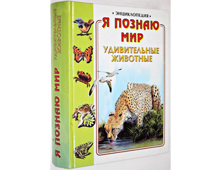 Насекомые энциклопедия экспо. Удивительный мир энциклопедий. Удивительный мир энциклопедий. Удивительный мир энциклопедий. Насекомые.