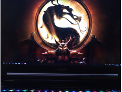 MSI GS73 STEALTH 8RF-029RU ( 17.3 FHD 120Hz I7-8750H GTX1070(8Gb) 16Gb 1Tb + 256SSD )