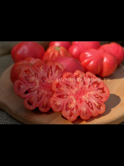 Томат Etoile (Этуаль), 10 шт