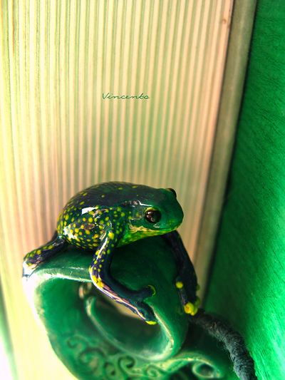 Подвеска "Тропическая лягушка"