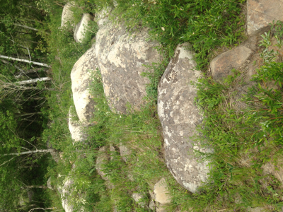 Речной валун