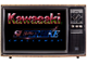 Kawasaki, Игра для Сега (Sega Game)
