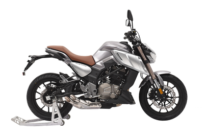 Regulmoto ALIEN MONSTER 300