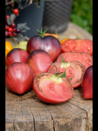 Томат Вишневый Сироп, 10 шт