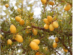 Аргана (нераф), Organic, Марокко 50 мл