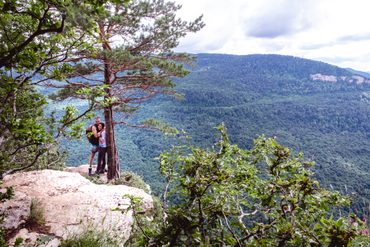 Орлиная полка