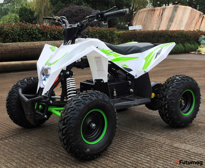 Электроквадроцикл Motax GEKKON 1300W белый